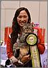 Tiger Baby - Best HHPet